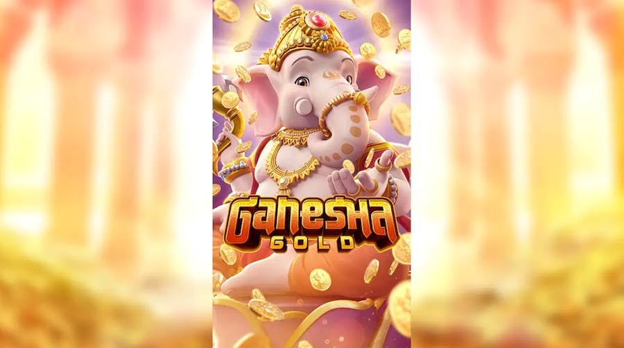 jogo de cartas estrela bet