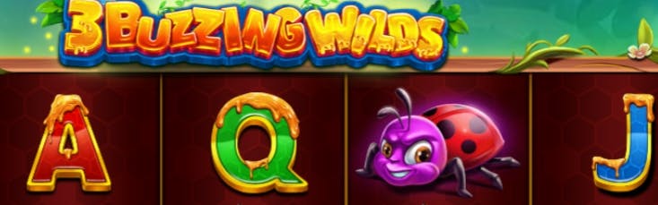aposta da quina com 8 números