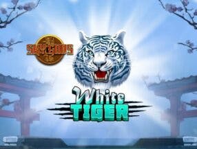 jogo da minas