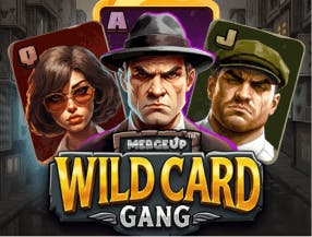 casino 365 slot