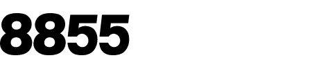 fundo rei leao logo